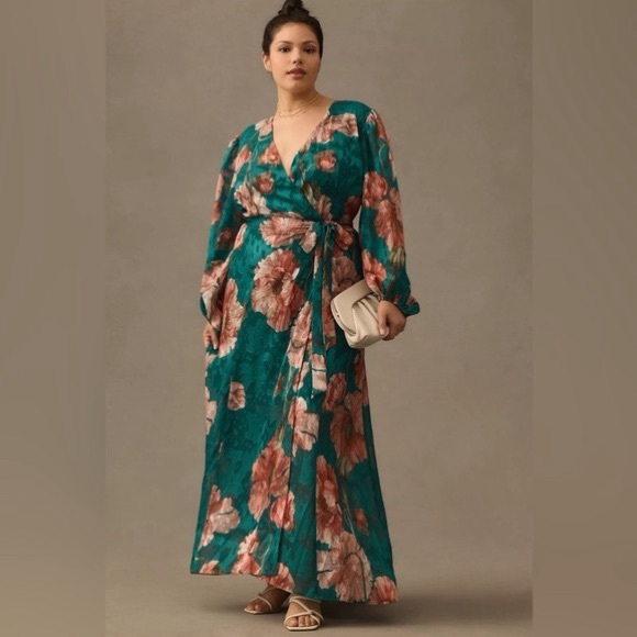 hutch chiffon long-sleeve maxi dress Hutch Cap Sleeve Maxi Dress